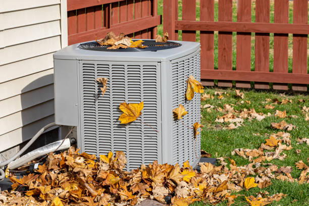 Best HVAC Tune-Up Services  in Williamsport, OH